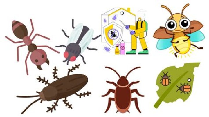 What is the definition of pest in biology?