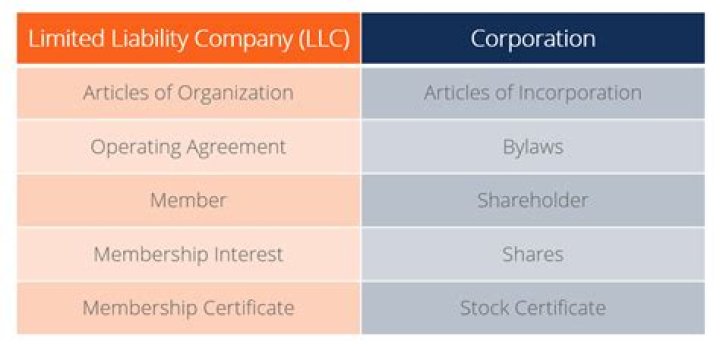What is the difference between a limited liability company and a professional limited liability company?