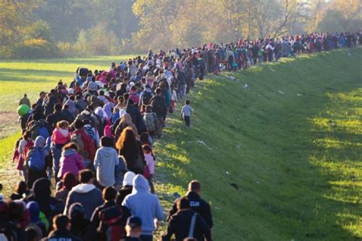 What is the difference between a migrant and a refugee?