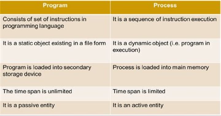 What is the difference between a process and a program quizlet?