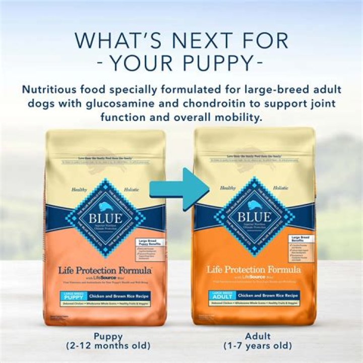What is the difference between Blue Buffalo Puppy and large breed puppy?