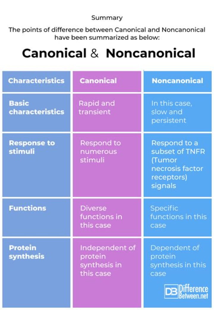 What is the difference between canonical and noncanonical?