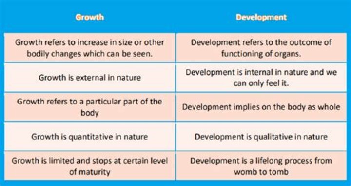 What is the difference between development and human development?