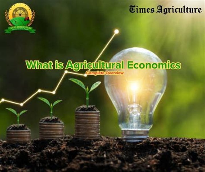 What is the difference between economics and agricultural economics?