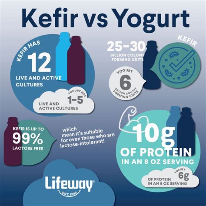 What is the difference between live yogurt and ordinary yogurt?