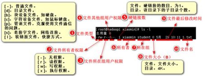 What is the difference between LS and LL?