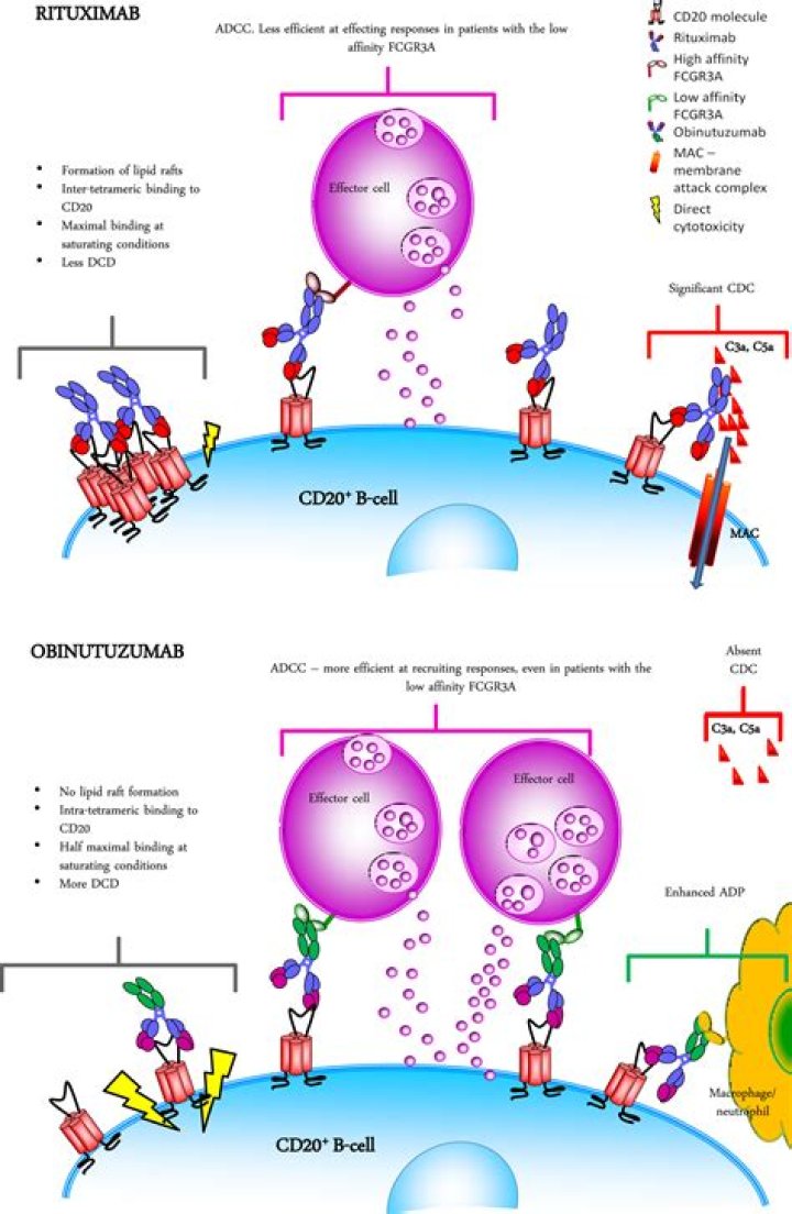 What is the difference between Obinutuzumab and rituximab?