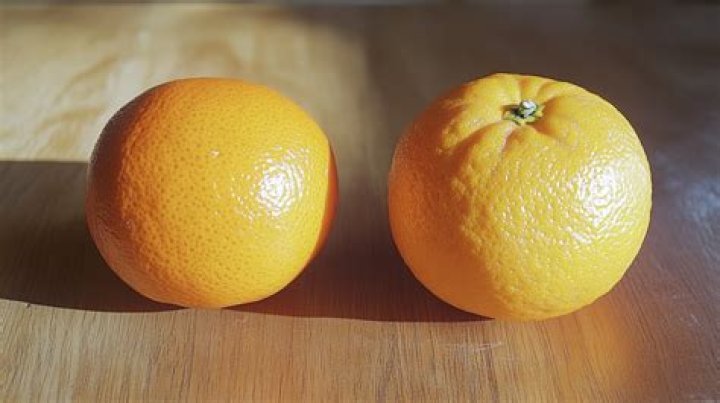 What is the difference between Valencia and navel oranges?
