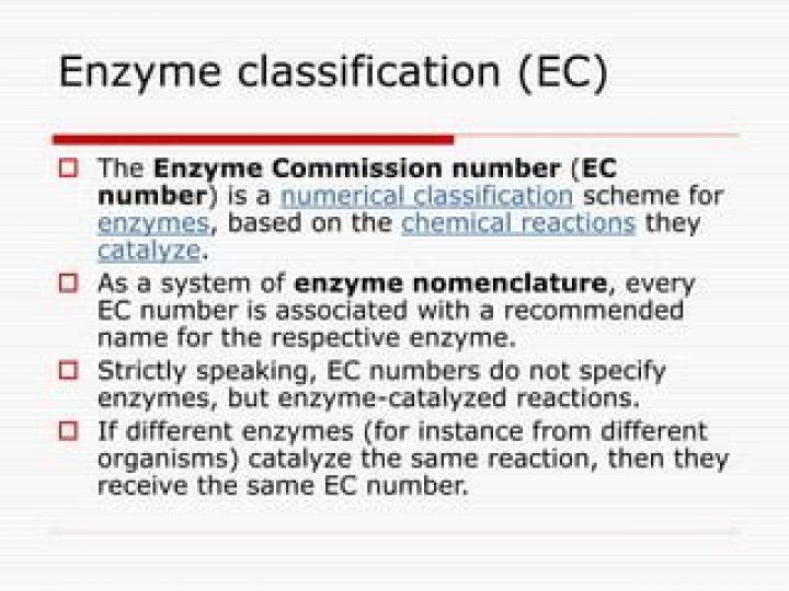 What is the EC classification?
