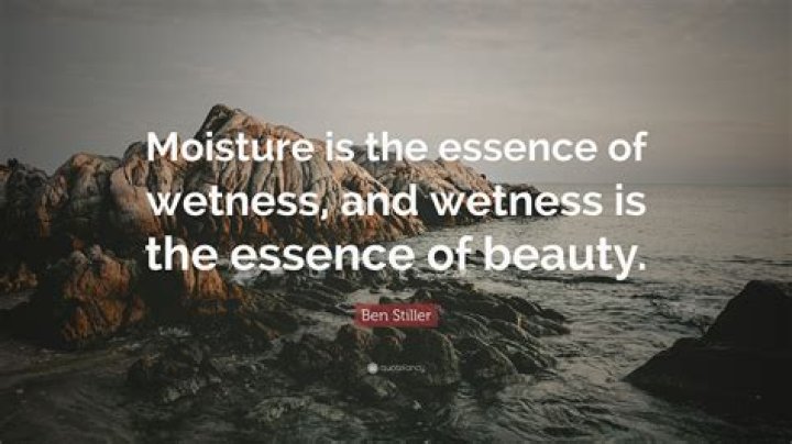 What is the essence of wetness?