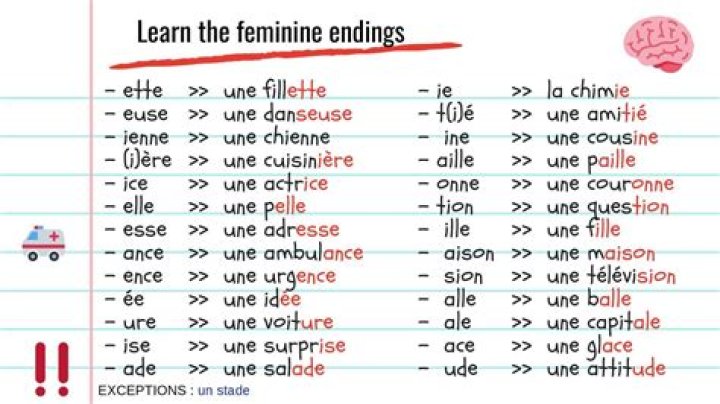 What is the feminine of noir in French?