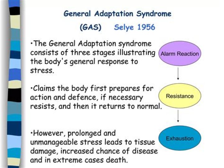 What is the general adaptation model?