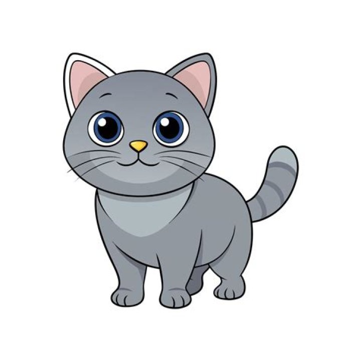 What is the GREY cartoon cat called?