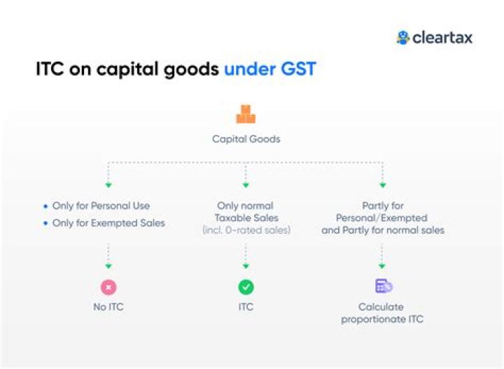 What is the group of tax paid on capital goods ledger?