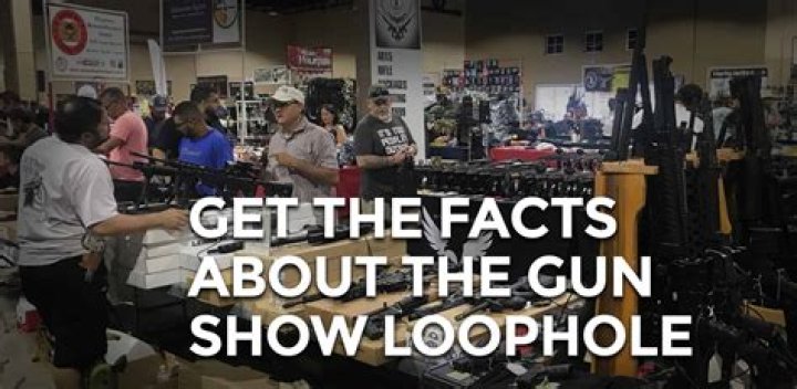 What is the gun show loophole in Virginia?