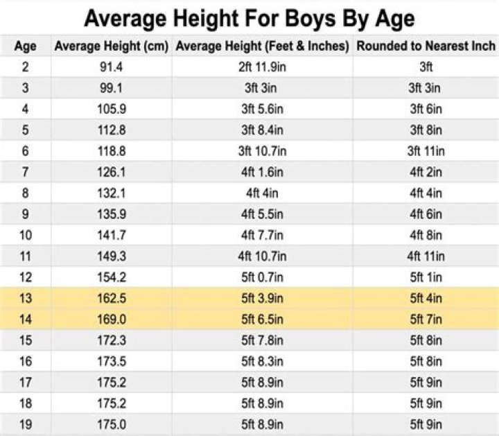 What is the height of Avinash?