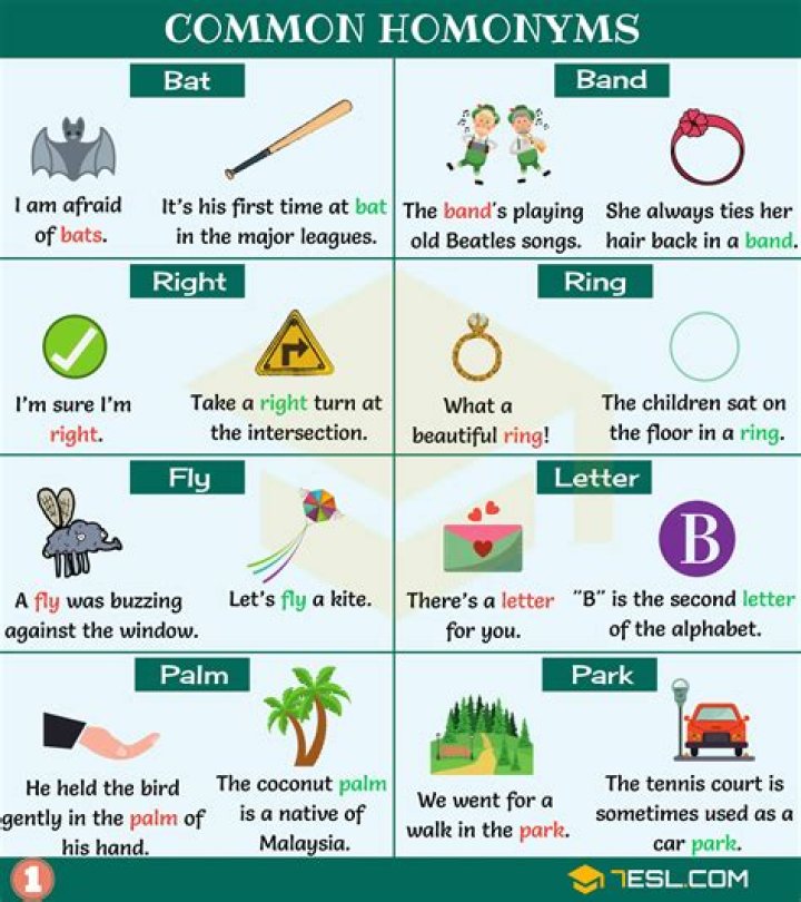 What is the homonym of air?