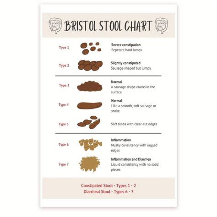 What is the ideal stool consistency?