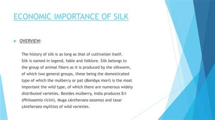 What is the importance of silk industry in India?