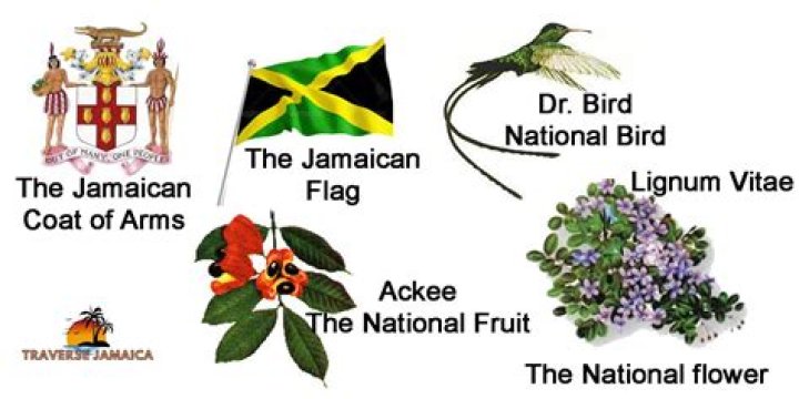 What is the Jamaican coat of arms used for?