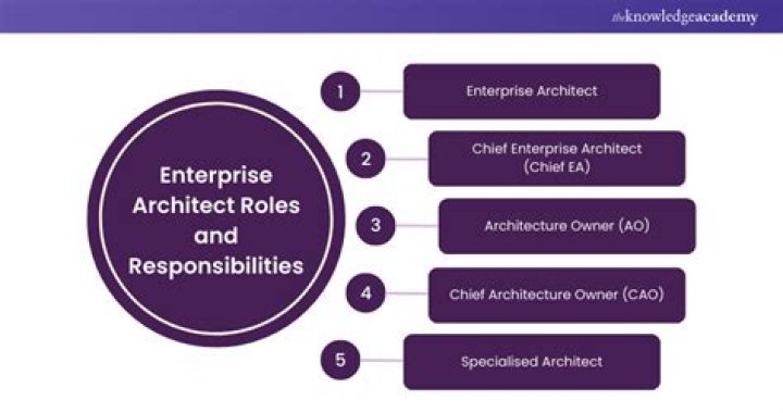 What is the job of an enterprise architect?