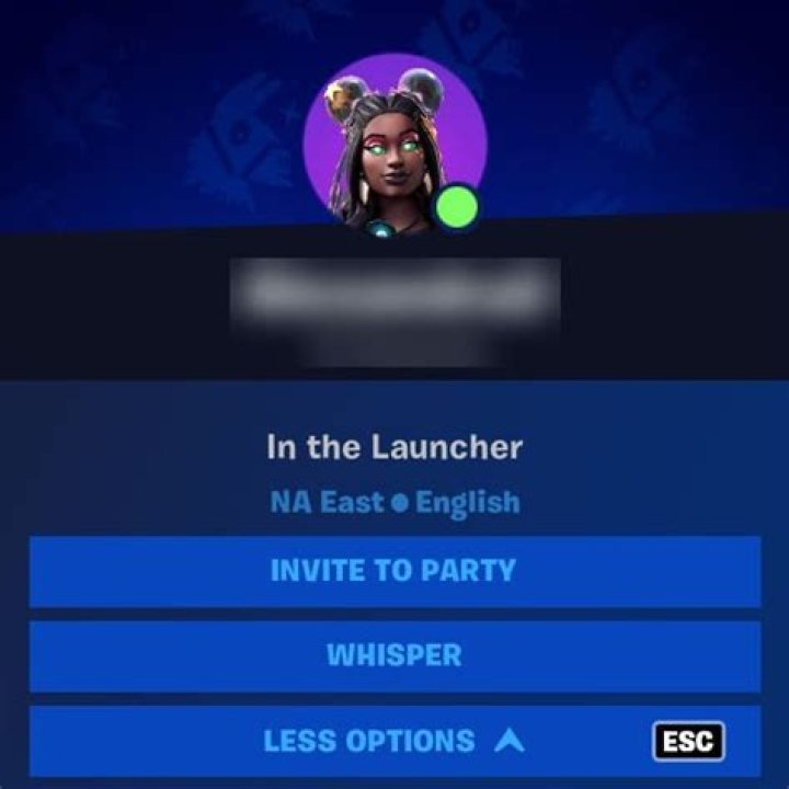 What is the launcher in fortnite?