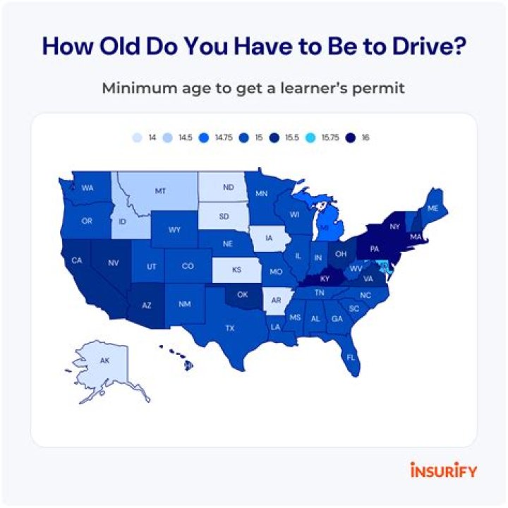 What is the legal age to drive a boat in Michigan?