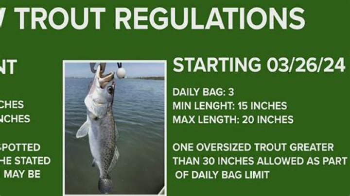What is the limit on trout in Arizona?