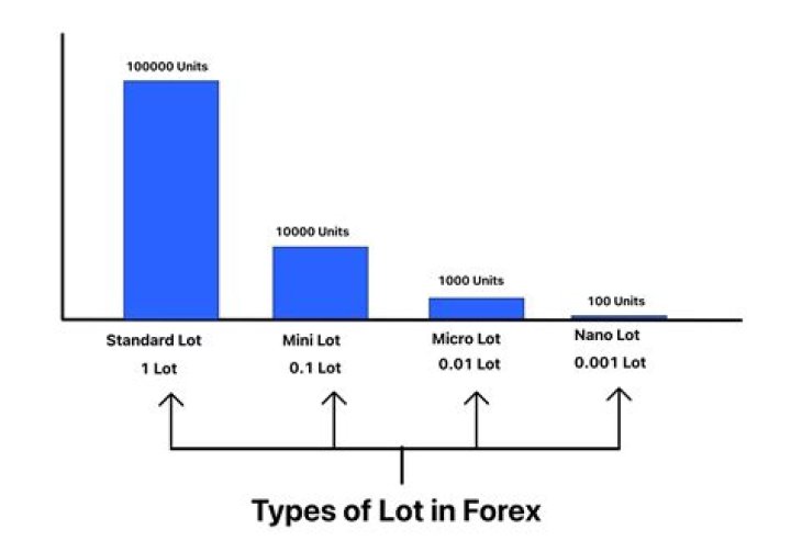 What is the lot size of TCS?