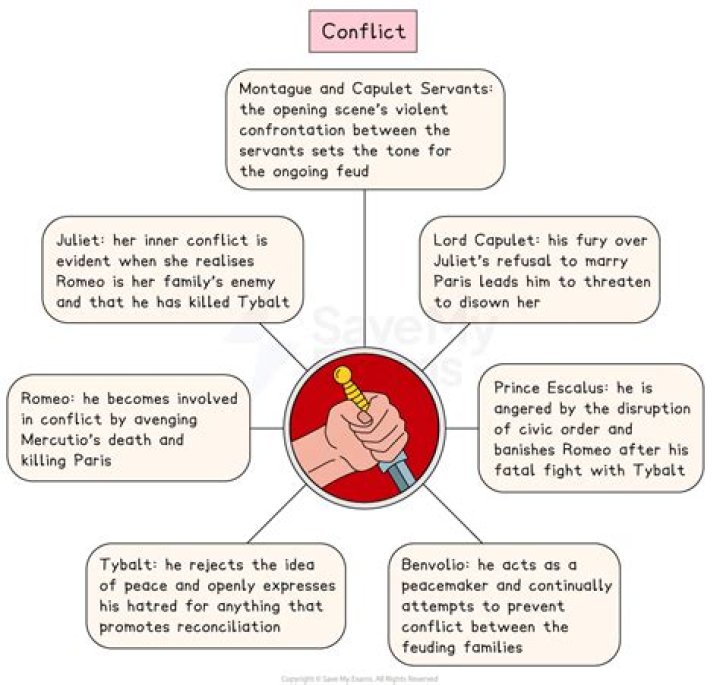 What is the main conflict in the selection?