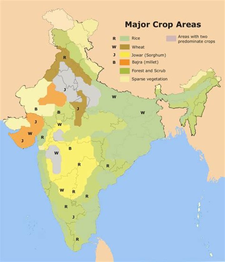 What is the main crop of Andhra Pradesh?