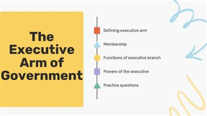 What is the main function of the executive arm of government?