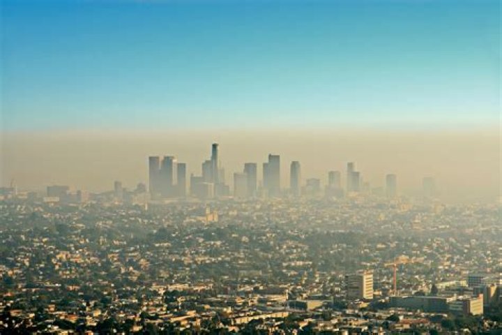 What is the main gas in smog?