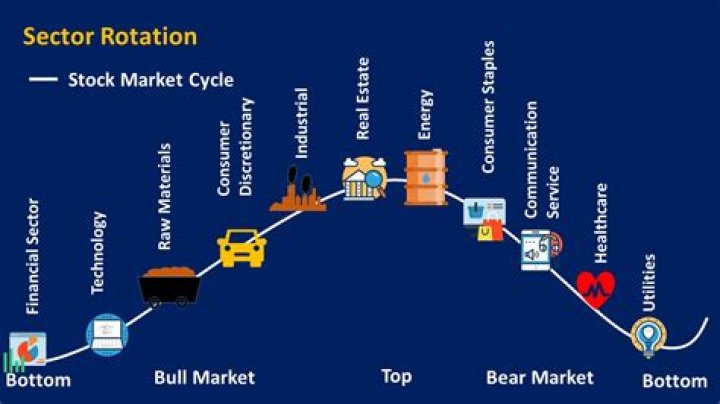 What is the mean of sector?