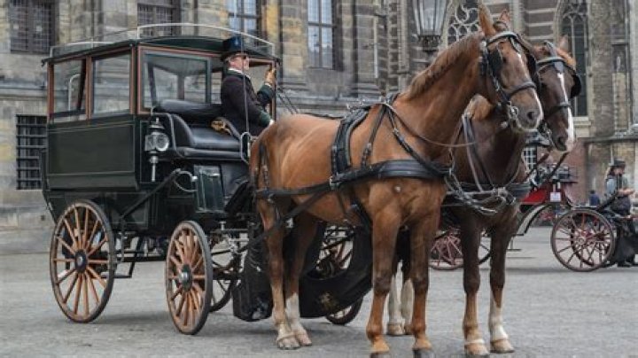 What is the meaning of carriages?