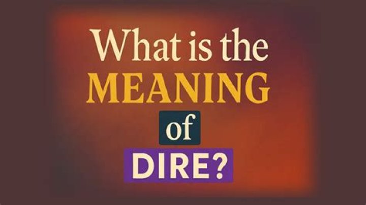 What is the meaning of dire?