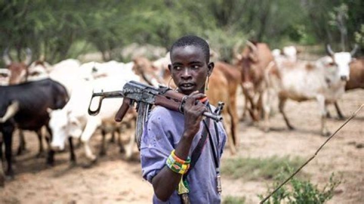 What is the meaning of Fulani herdsmen?