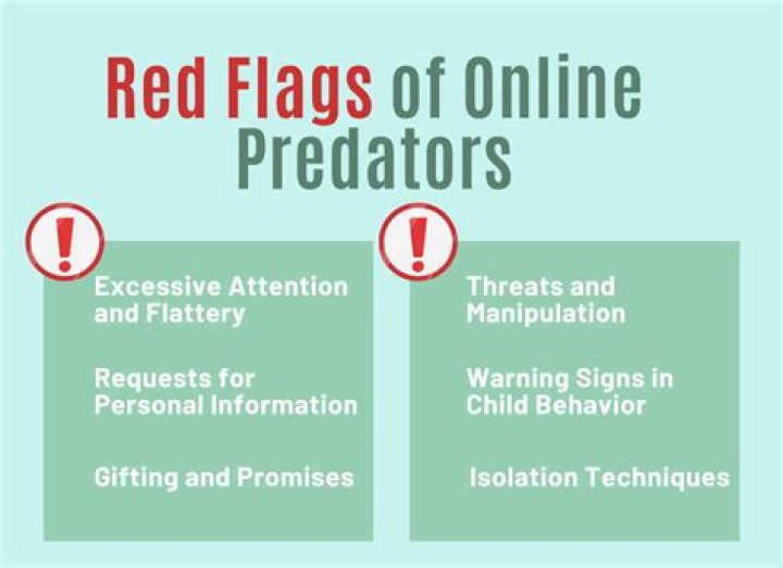 What is the meaning of online predators?