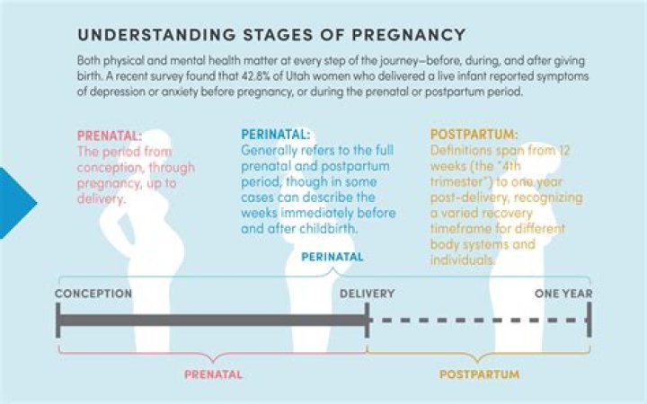 What is the meaning of prenatal and postnatal?