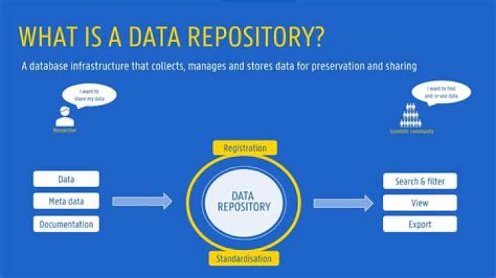 What is the meaning of repositories?