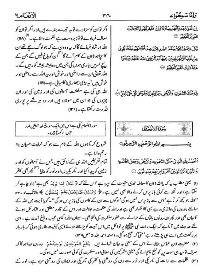 What is the meaning of Surah Anaam?