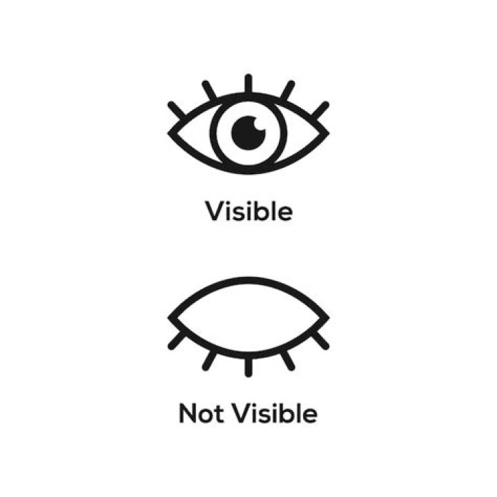 What is the meaning of visible and not visible?