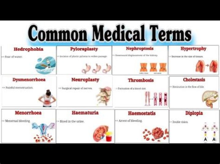 What is the medical term for brain?