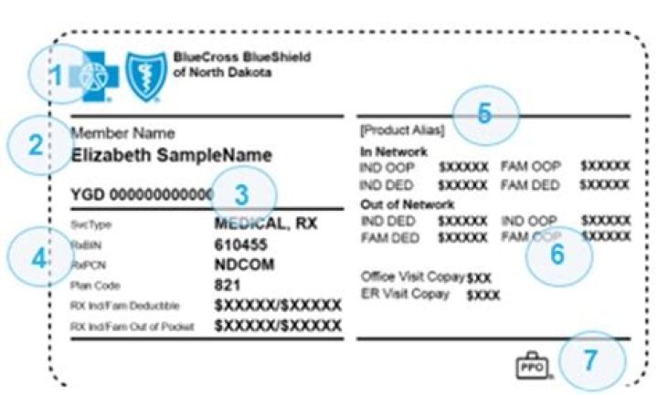 What is the member ID?