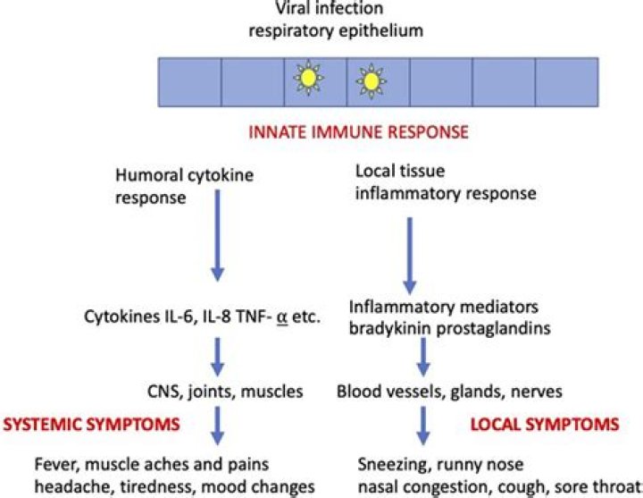 What is the mode of transmission of common cold?