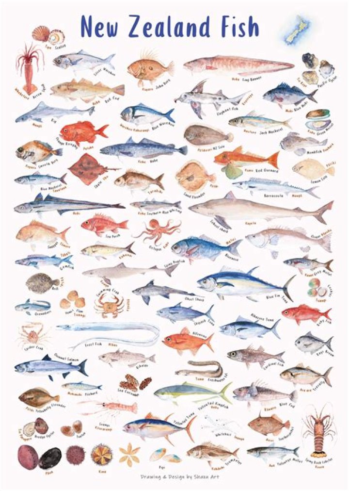 What is the most common fish in NZ?