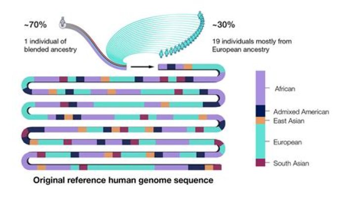 What is the most surprising discovery from the human genome project?