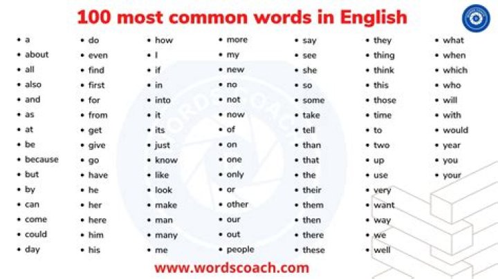 What is the most used word of 2019?