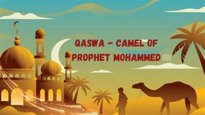 What is the name of Prophet Muhammad camel?