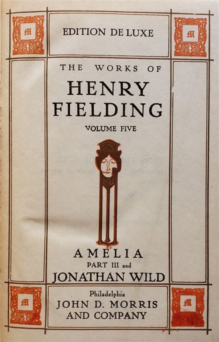 What is the novel in opinion of Henry Fielding?